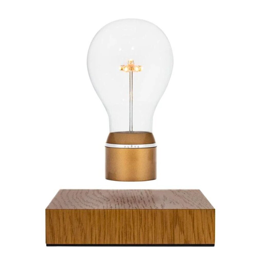 💡NIB Flyte Floating Lightbulb
